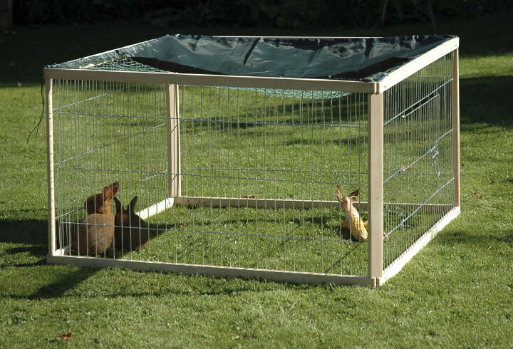 dobar Freilaufgehege